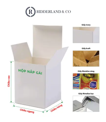 PAPER SOLUTIONS