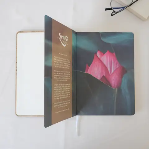 PAPER SOLUTIONS