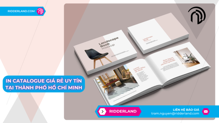 In Catalogue Giá Rẻ Banner