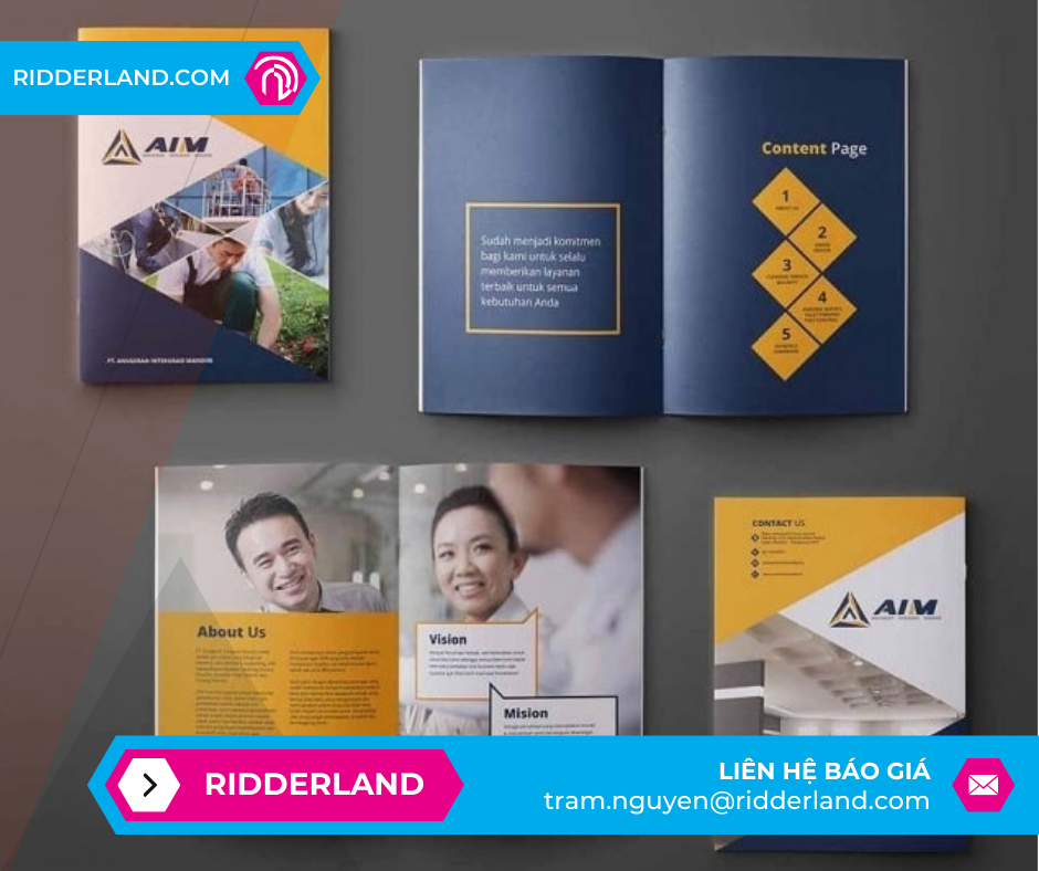 Top 50 Mẫu Catalogue Đẹp 11