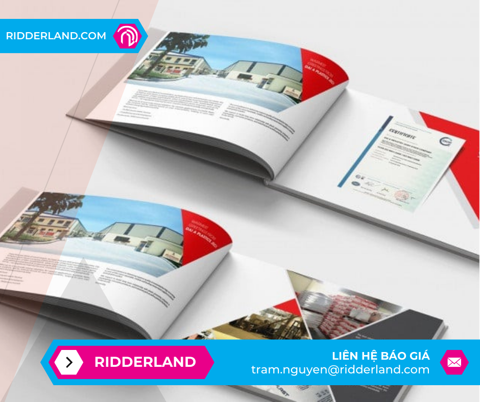 Top 50 Mẫu Catalogue Đẹp 13
