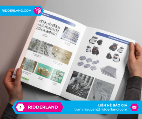 Top 50 Mẫu Catalogue Đẹp 17