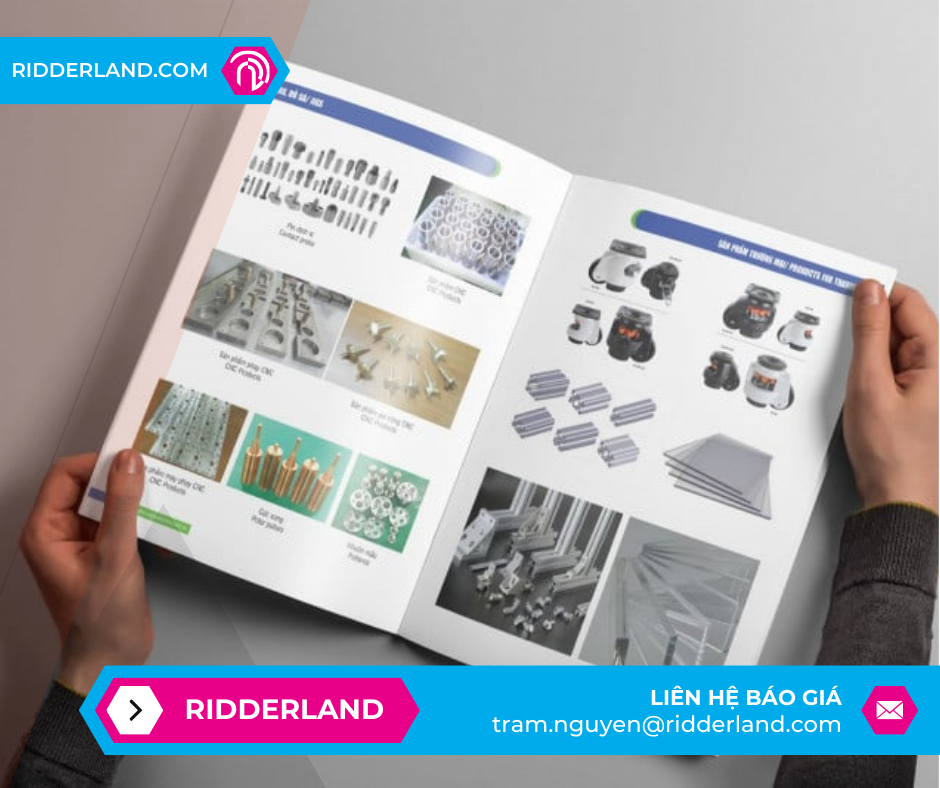 Top 50 Mẫu Catalogue Đẹp 17