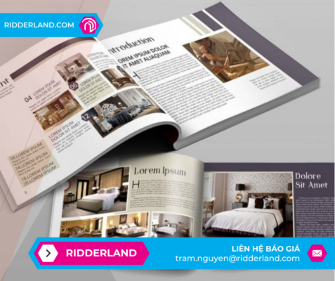 Top 50 Mẫu Catalogue Đẹp 20