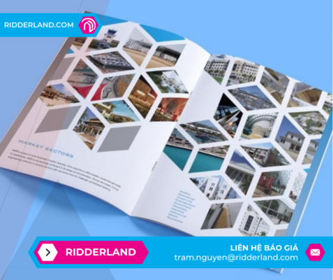 Top 50 Mẫu Catalogue Đẹp 25