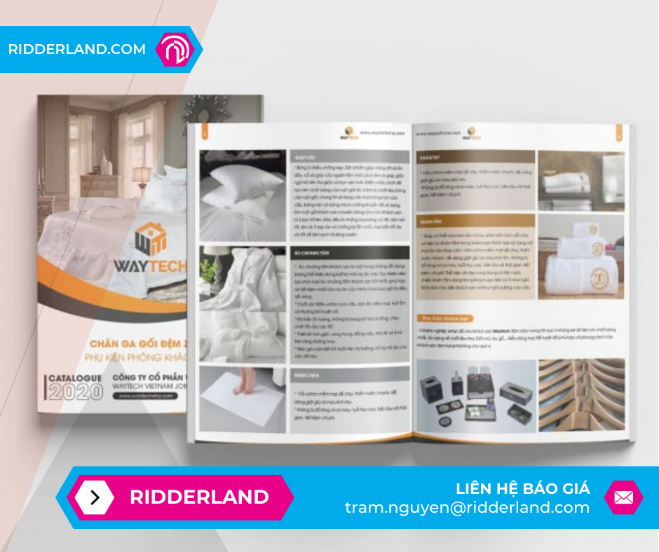 Top 50 Mẫu Catalogue Đẹp 30