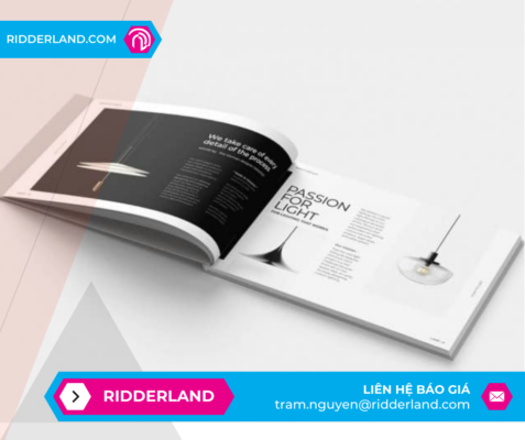 Top 50 Mẫu Catalogue Đẹp 37