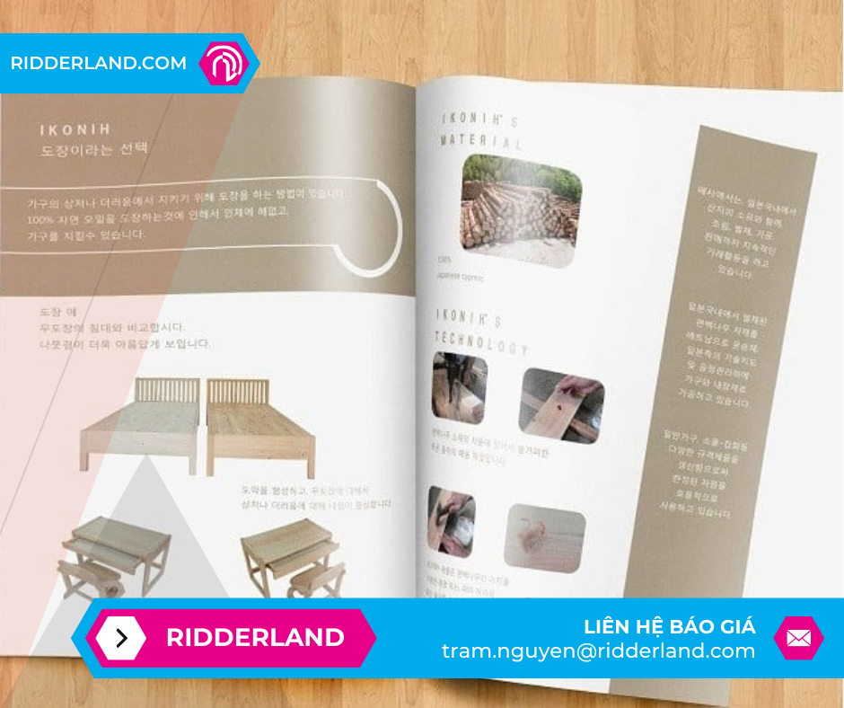 Top 50 Mẫu Catalogue Đẹp 4