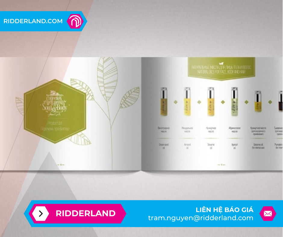 Top 50 Mẫu Catalogue Đẹp 45