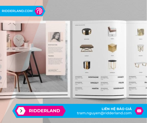 Top 50 Mẫu Catalogue Đẹp 8