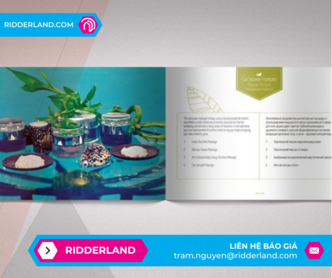 Top 50 Mẫu Catalogue Đẹp 9
