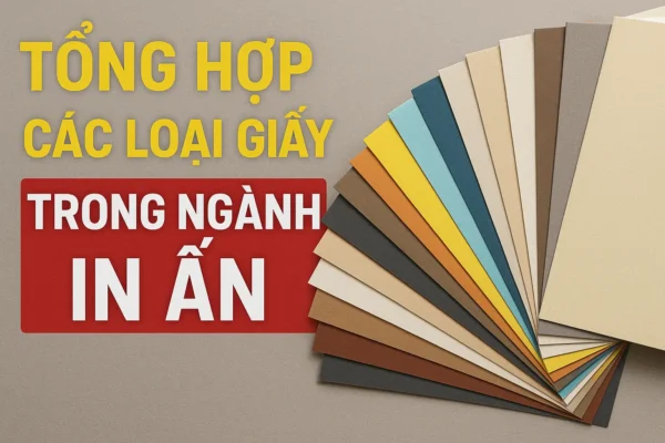 Tổng Hợp Các Loại Giấy